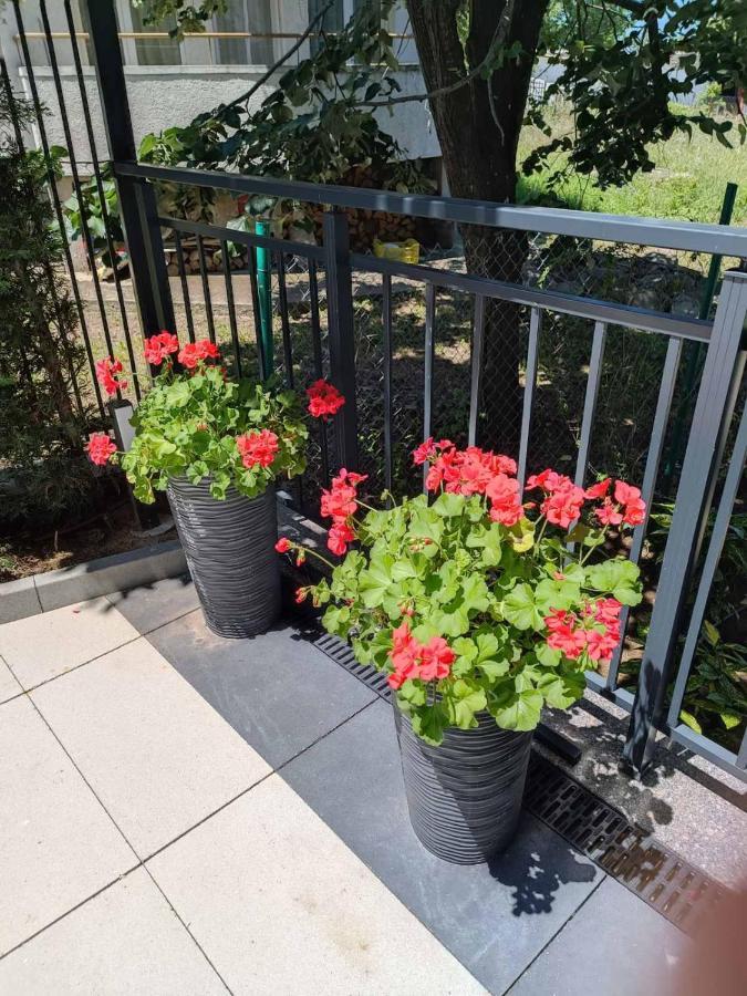 Apartament Kali Ахтополь Экстерьер фото
